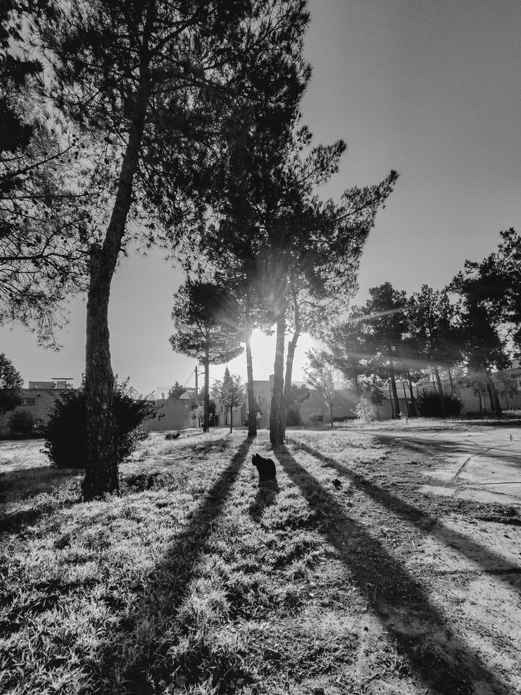 Photograph by mobin the abstract