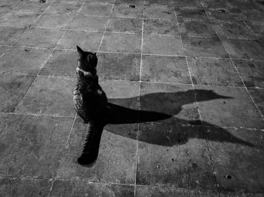 Photograph by mobin the abstract