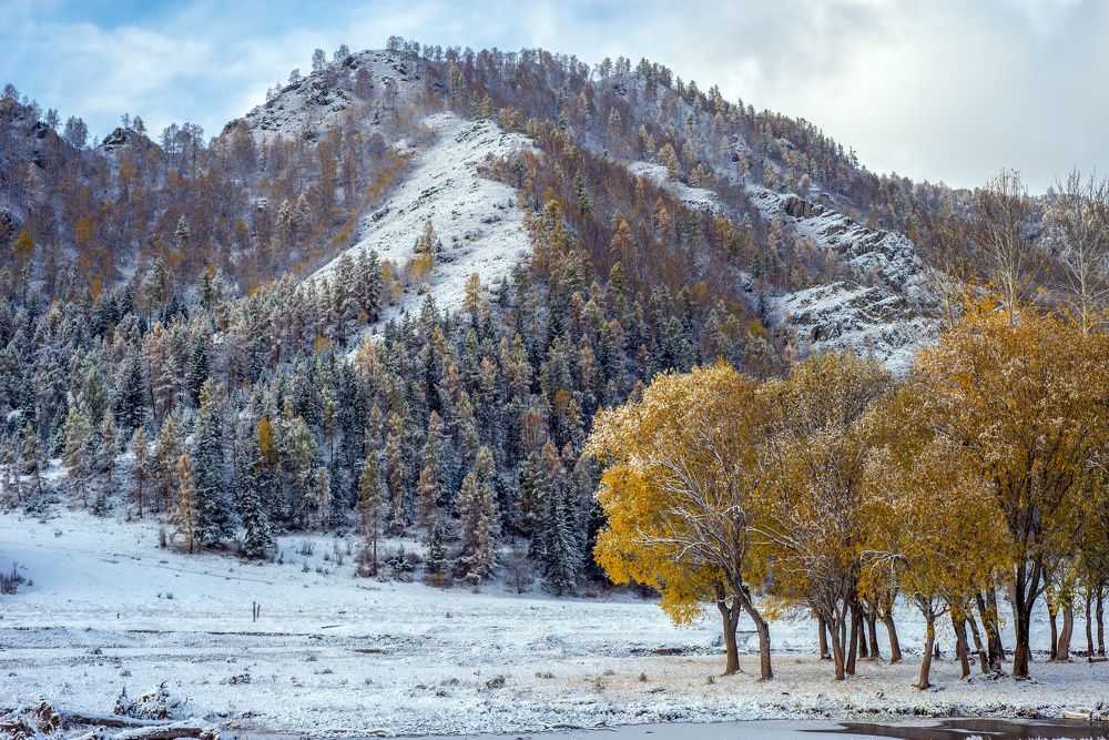 Photograph by Anton Kuzkin