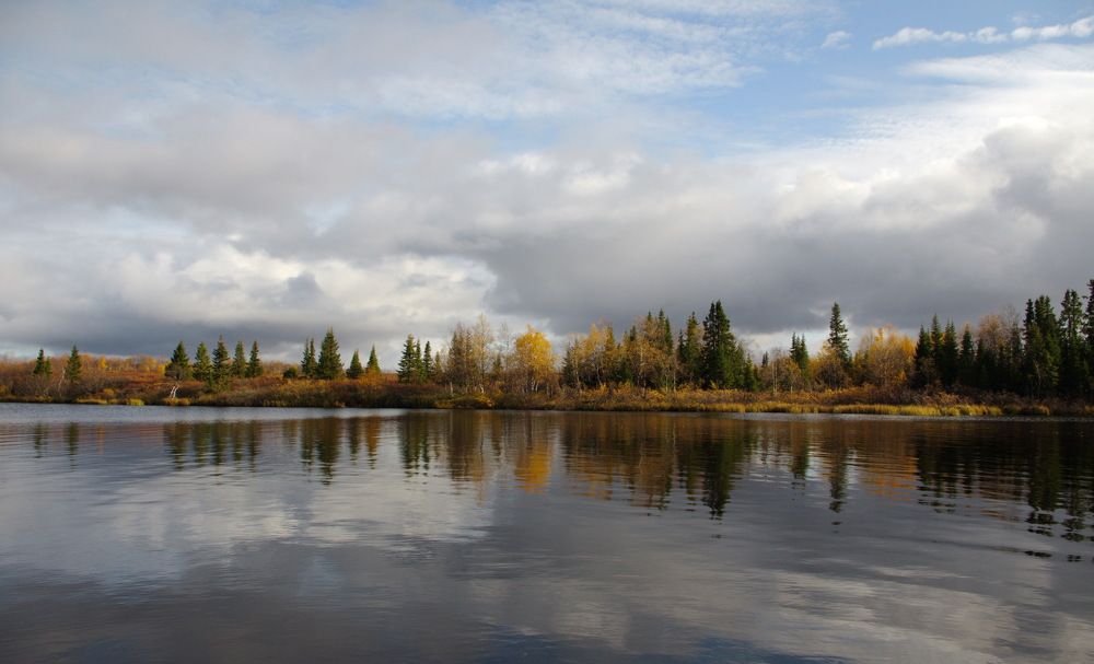 Фотография автора Медведев Сергей