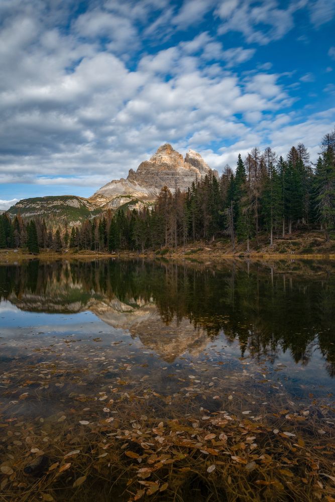 Photograph by Mirko Colombo