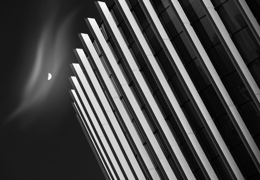 Photograph by Xiangyu Dai