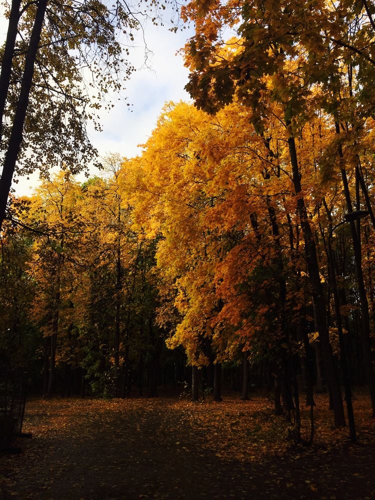 Photograph by Дмитрий Зернов