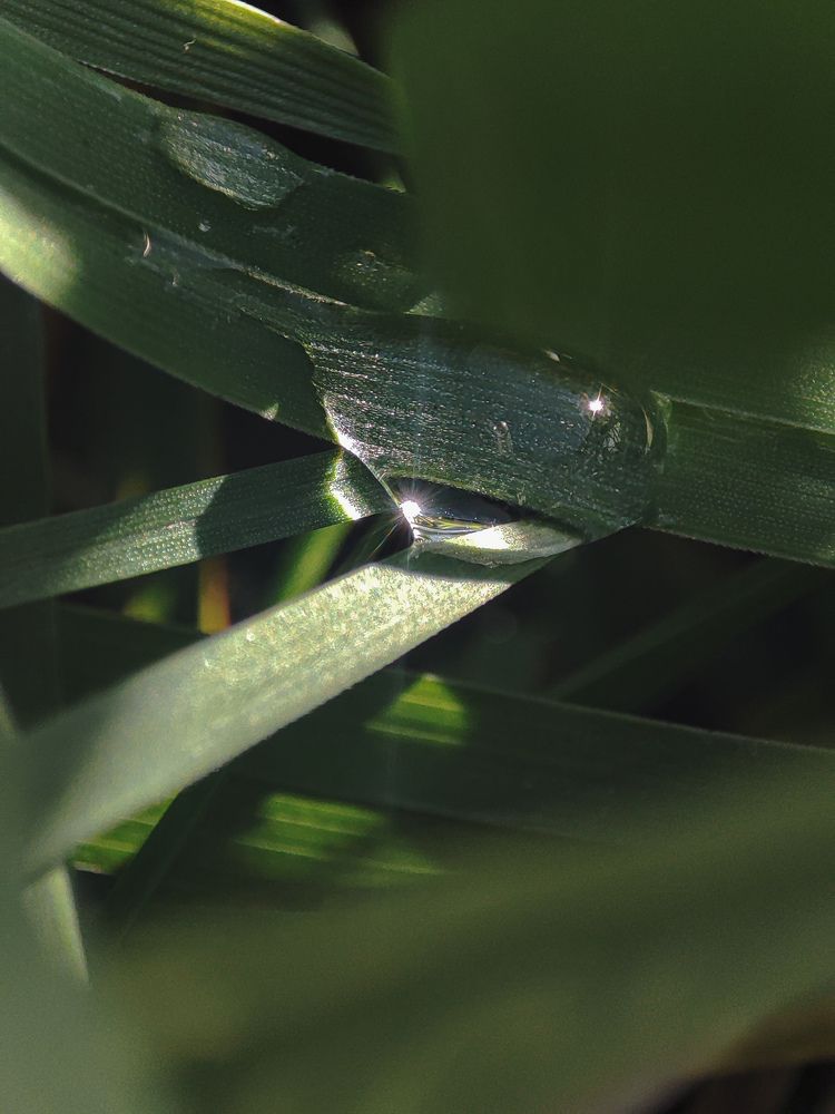 Photograph by Лэйла