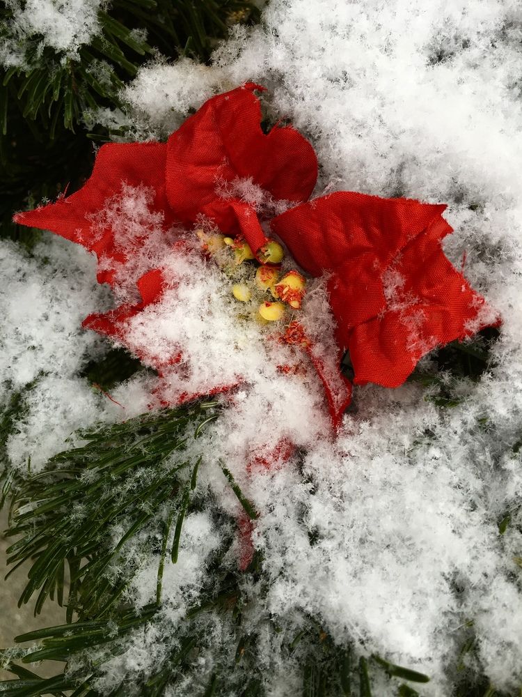 Photograph by Елена Макуха