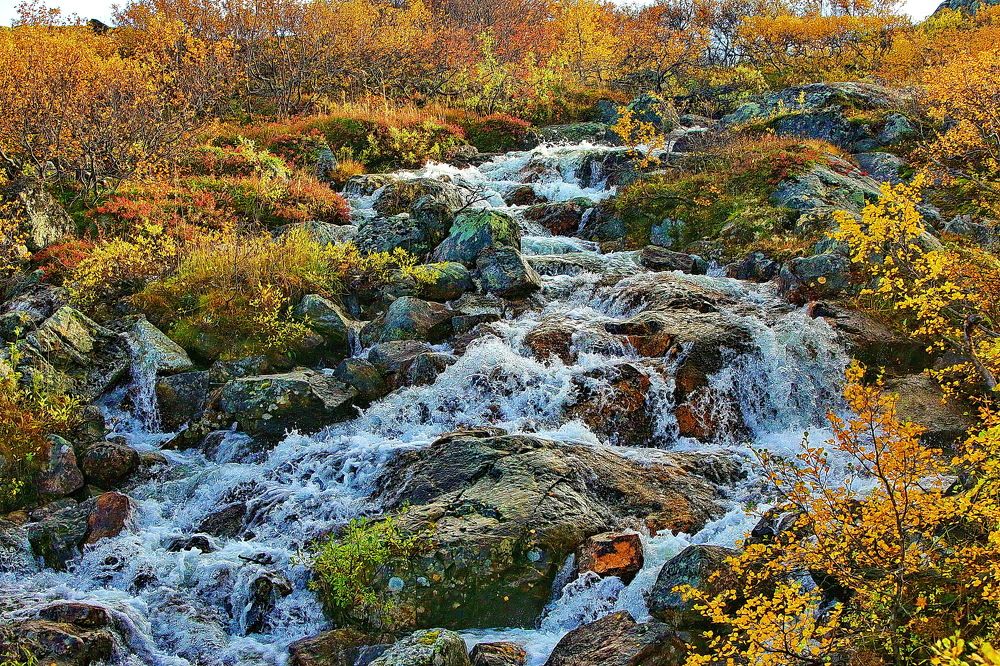 Photograph by VictОr