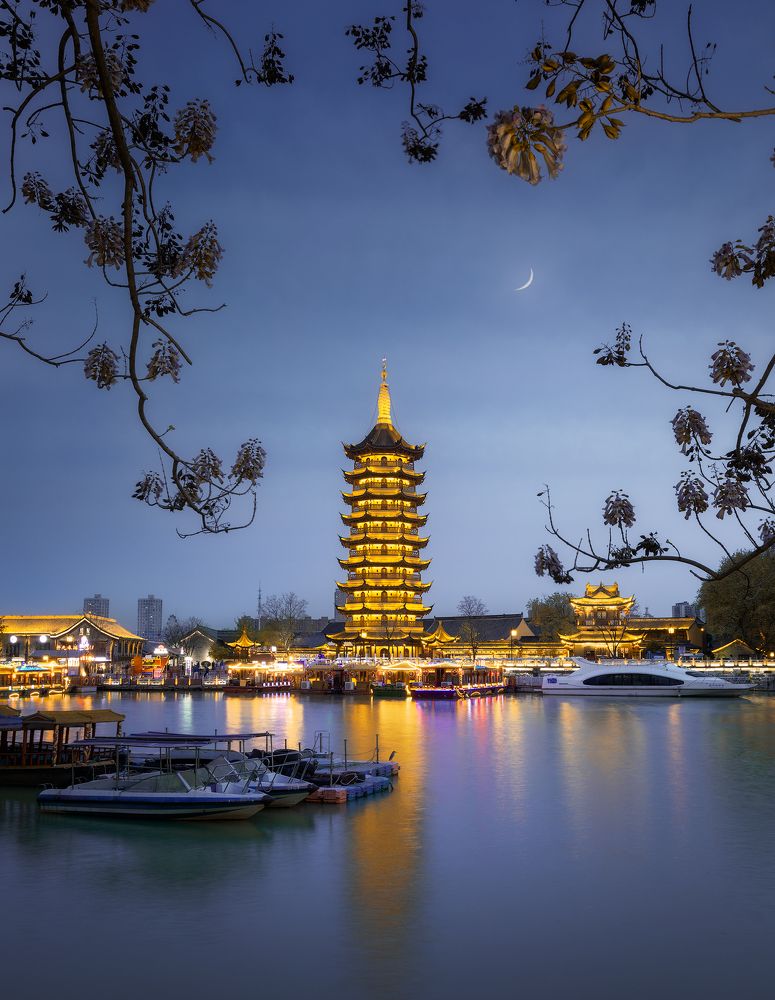 Spring,River,Flower,Moon,Night