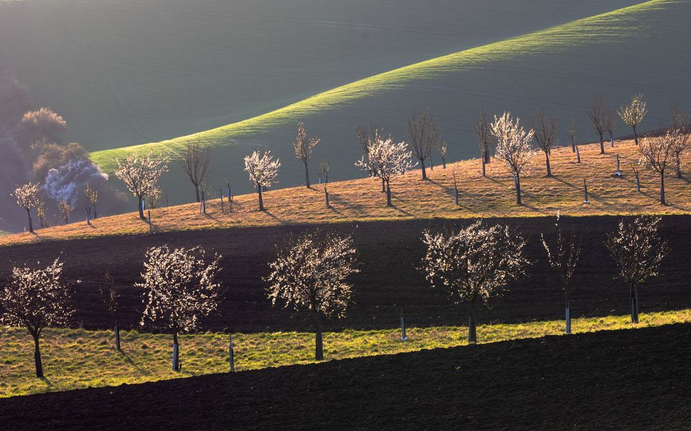 Photograph by Евгения Чех