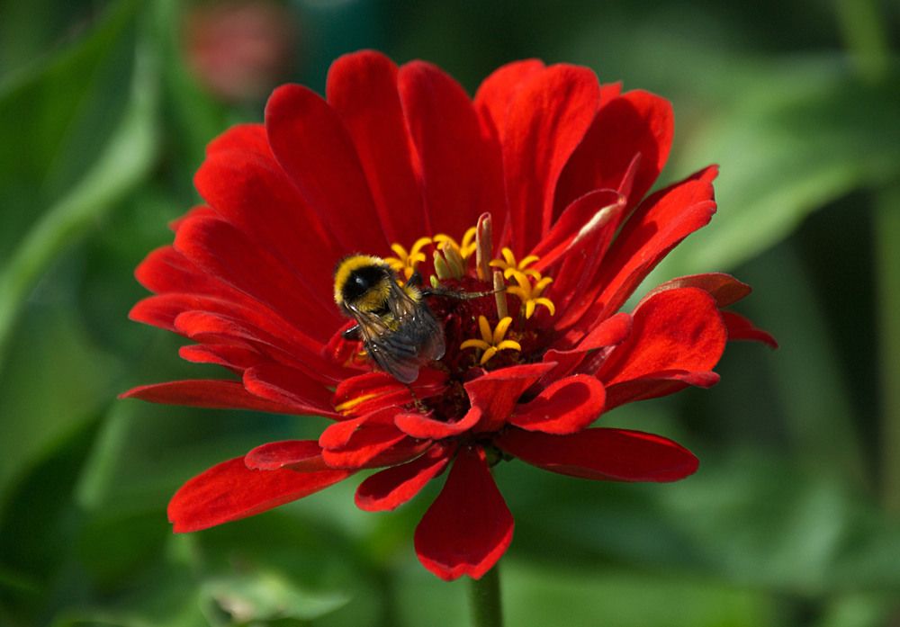 Photograph by Veretina Yroslava