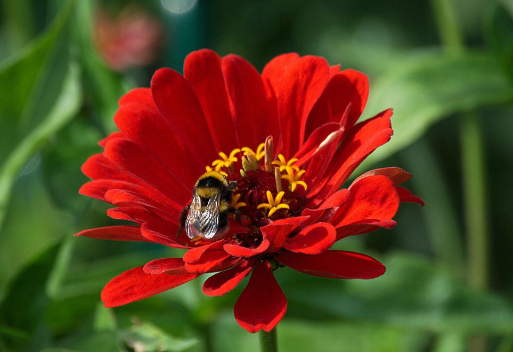 Photograph by Veretina Yroslava