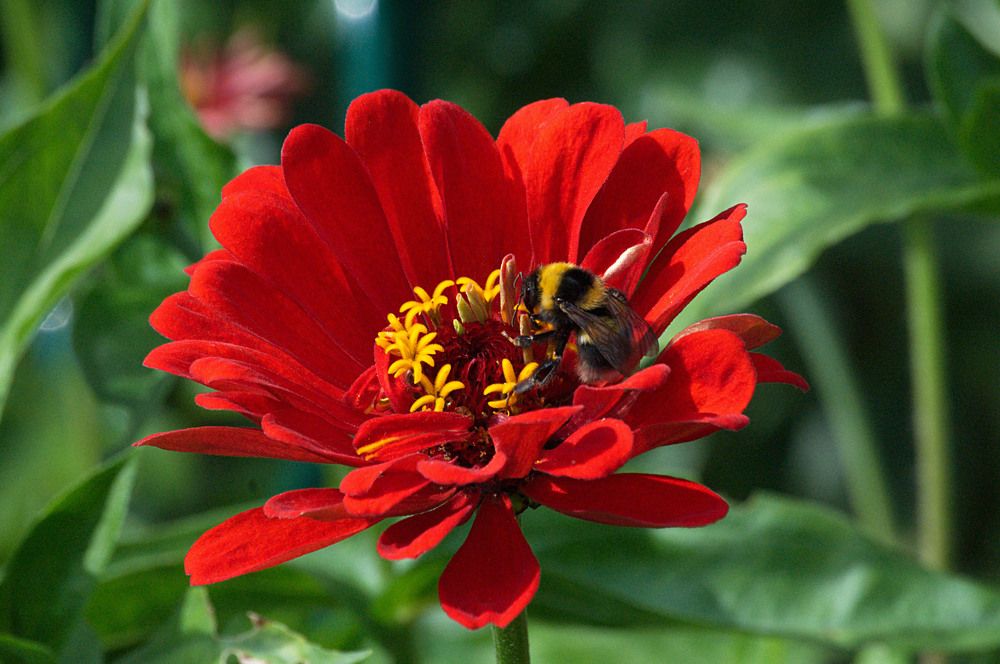 Photograph by Veretina Yroslava