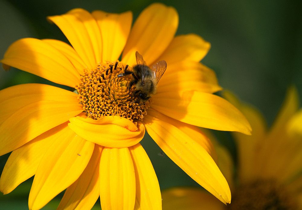 Photograph by Veretina Yroslava