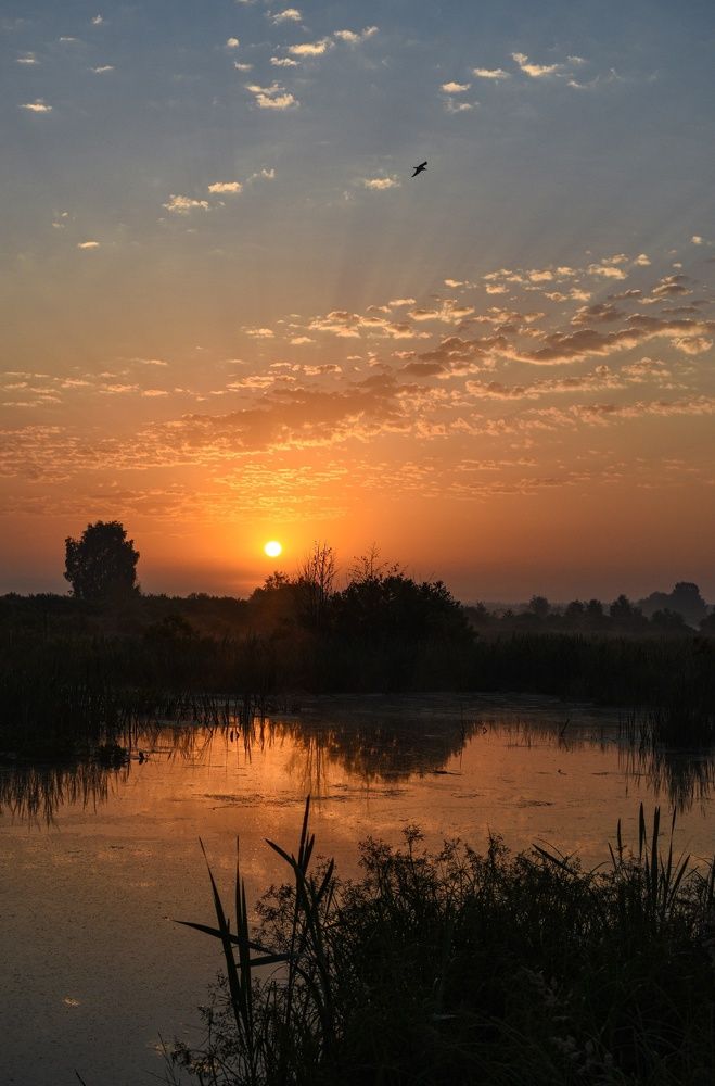 Photograph by Овечкин Павел