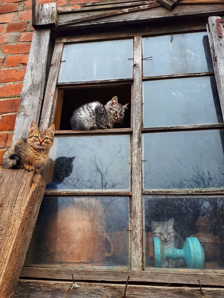 Photograph by Андрей Серый