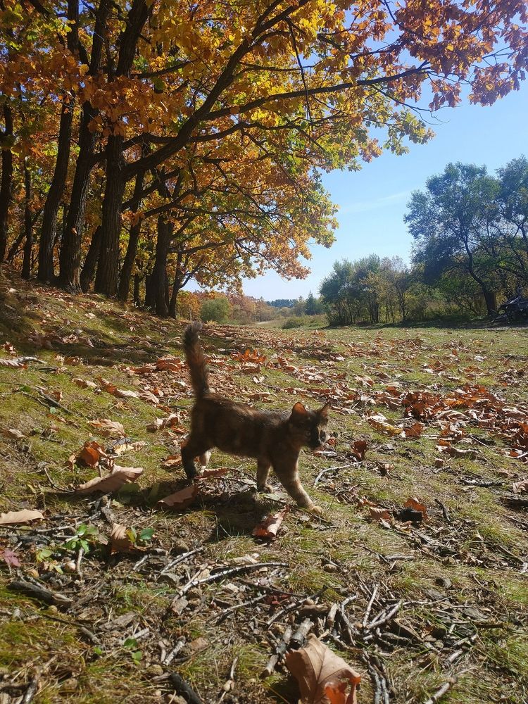 Photograph by Valentina