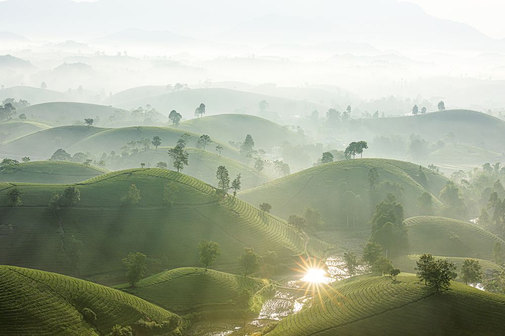 Photograph by Lạc Cơ