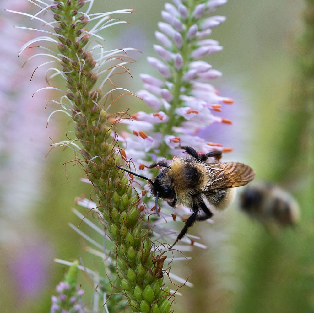 Photograph by Зеленько Дмитрий