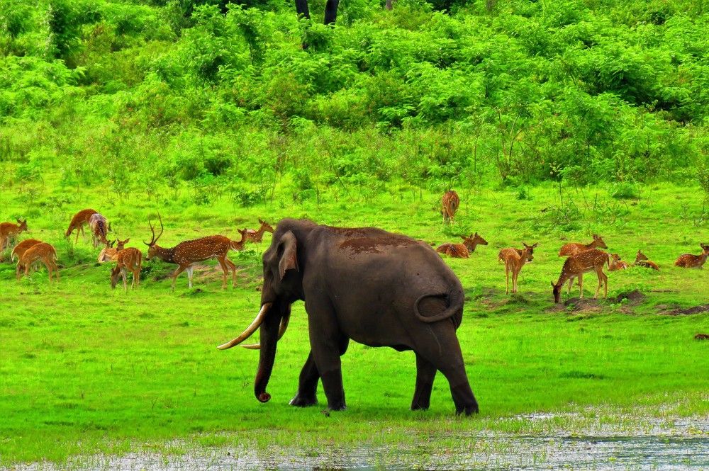 Photograph by ANISH BISWAS