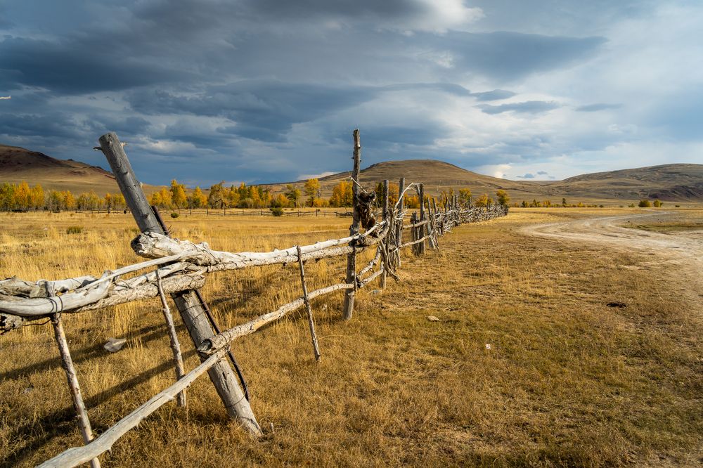 Photograph by Maria Pochikaeva