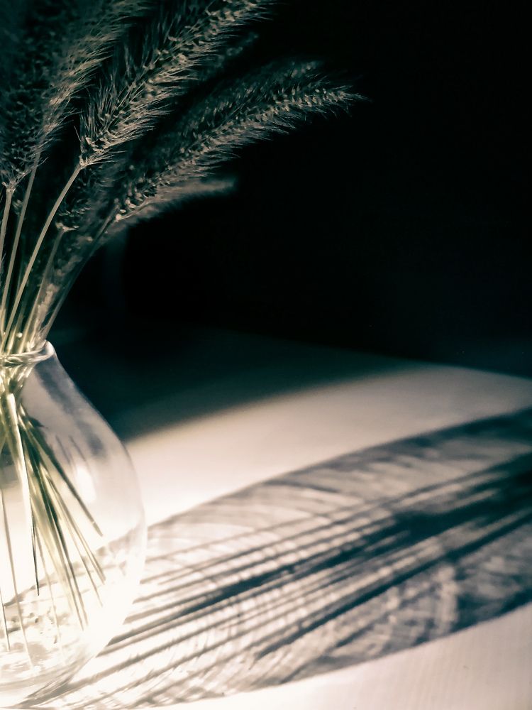 Photograph by Светлана Шелухеева