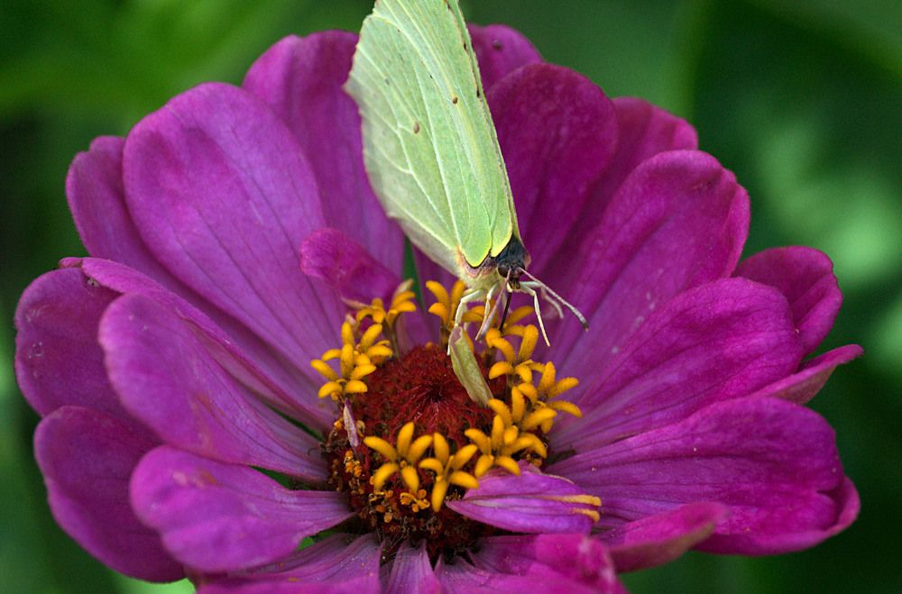 Photograph by Veretina Yroslava