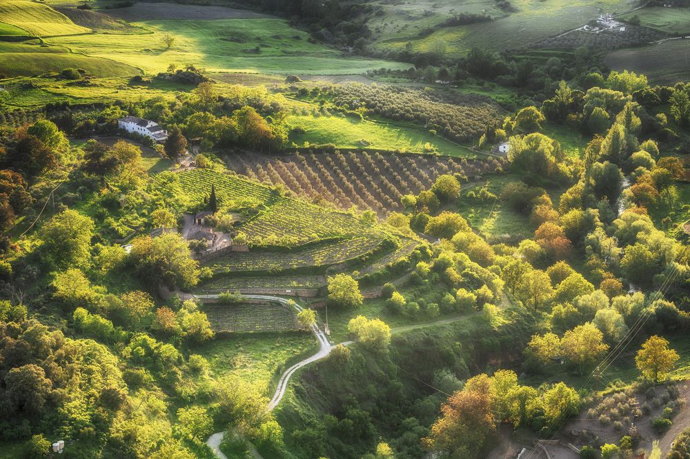 Photograph by Anelia Skopchanova