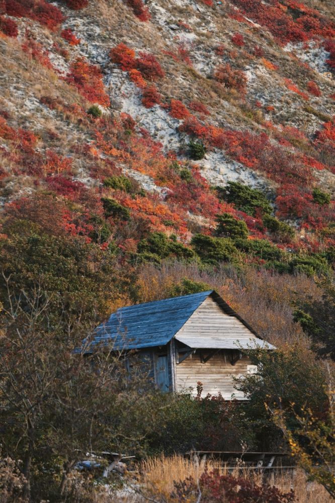 Photograph by Роман Красношапка