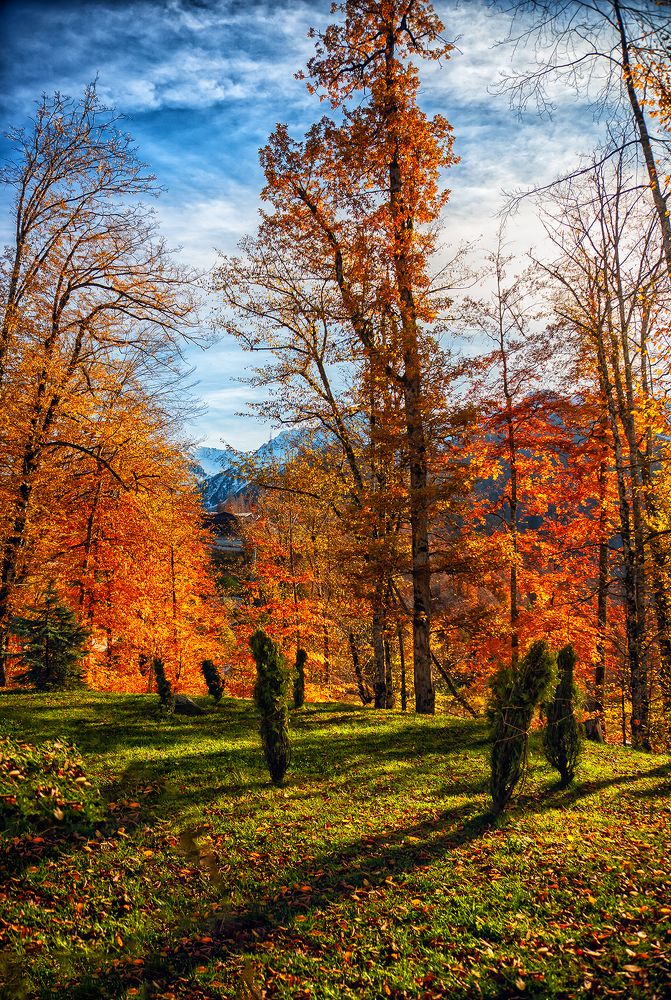 Photograph by arkadii Ануфриев