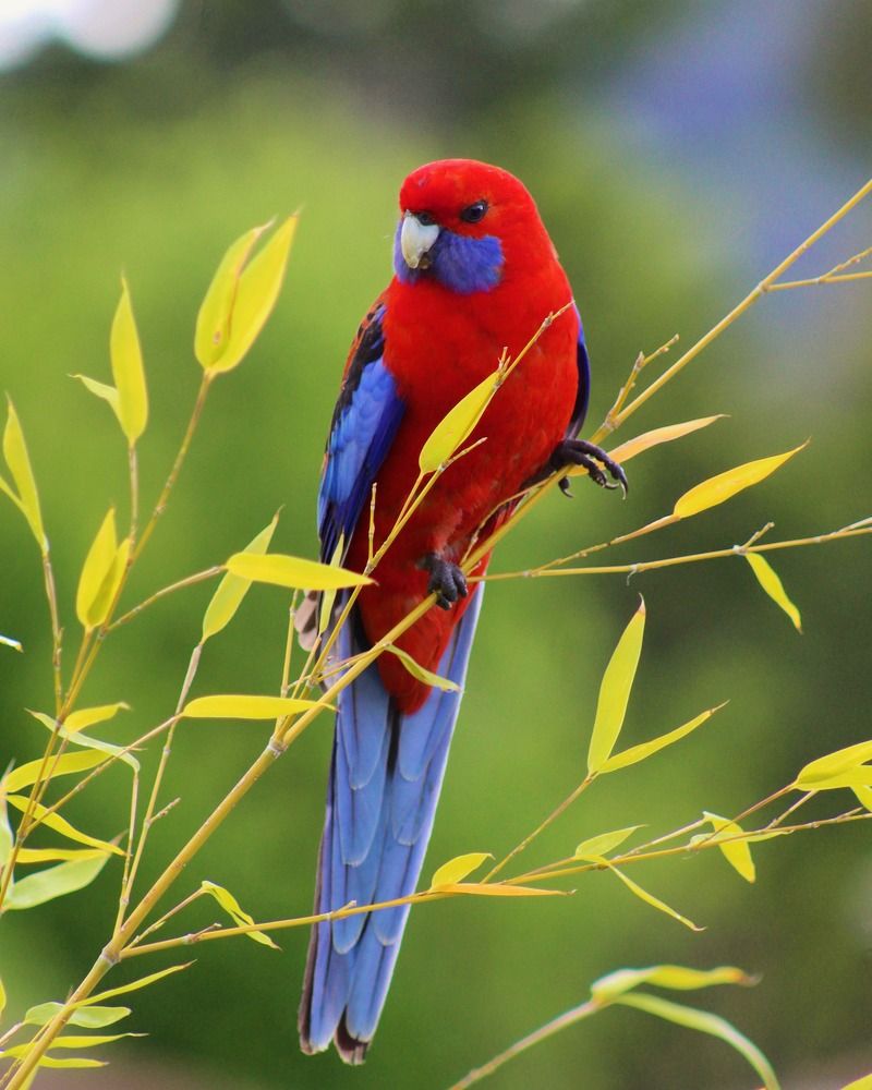 Photograph by Kirsteen Isles