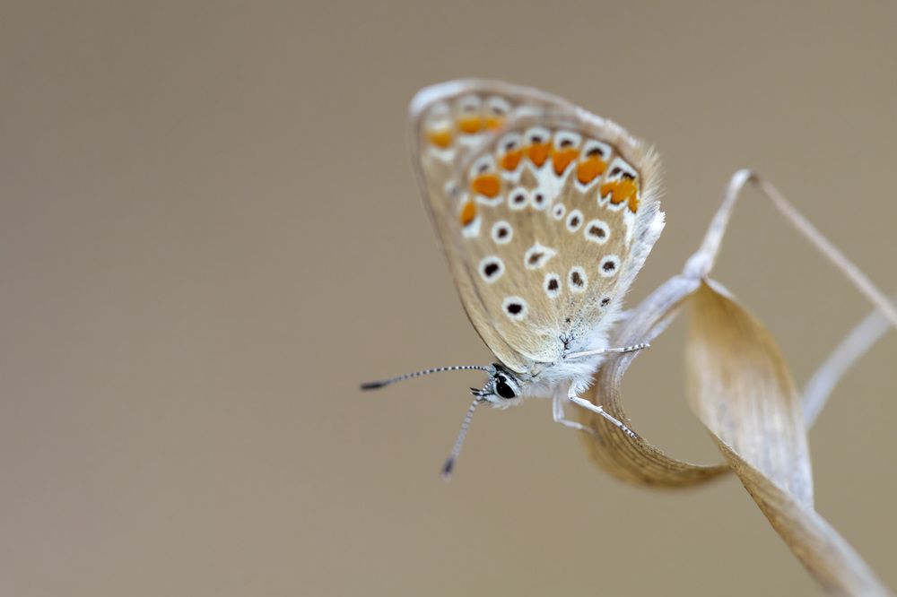 Фотография автора Nikolay Tatarchuk