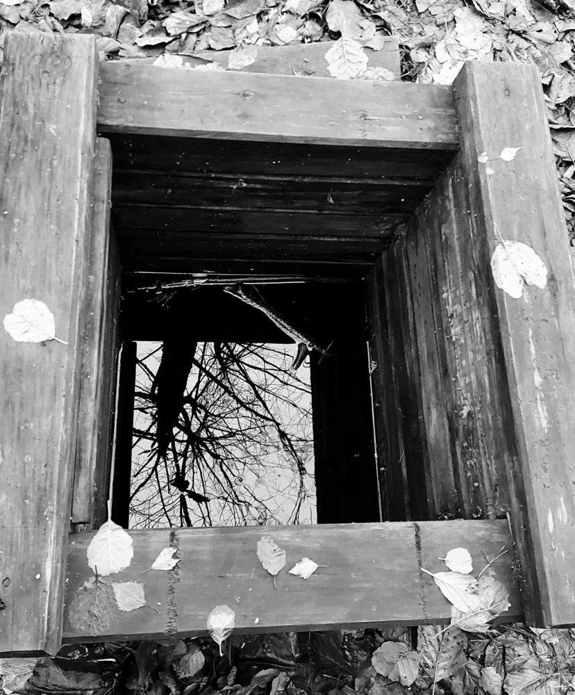 Фотография автора Екатерина Борзыкина