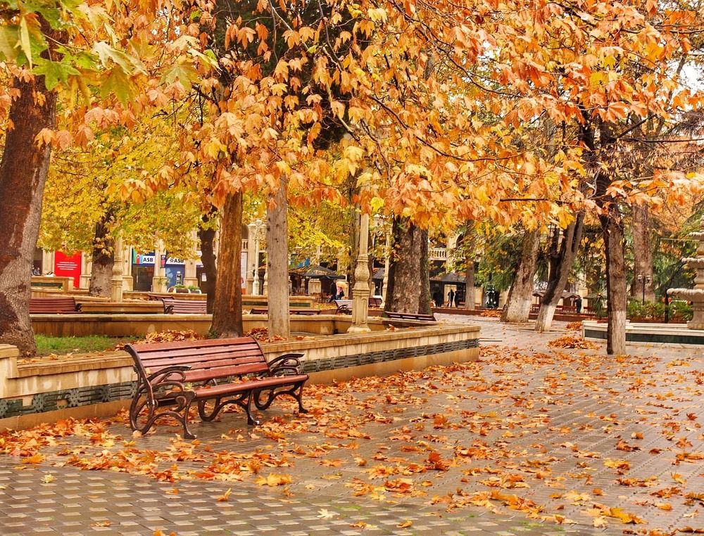 Photograph by Владимир Осипов