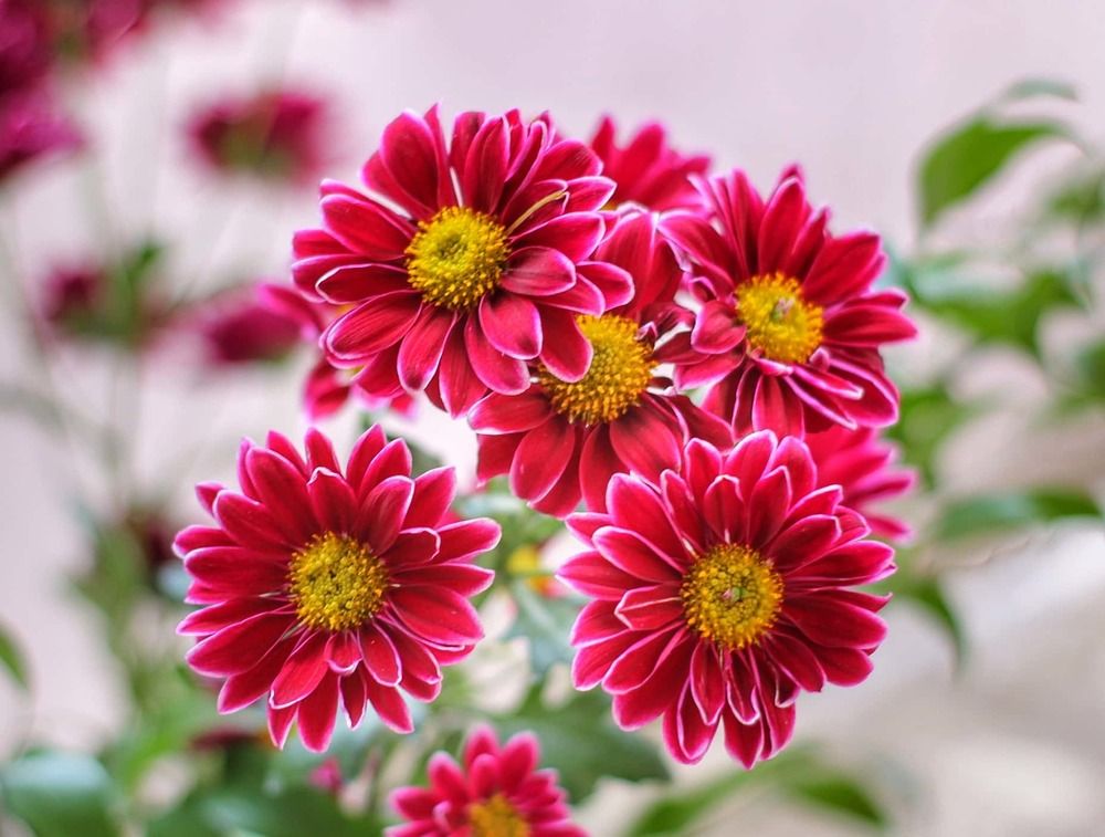 Photograph by Владимир Осипов