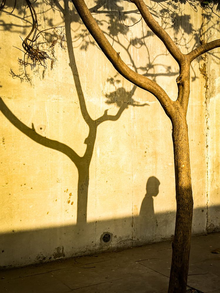 Photograph by Darshan Shah