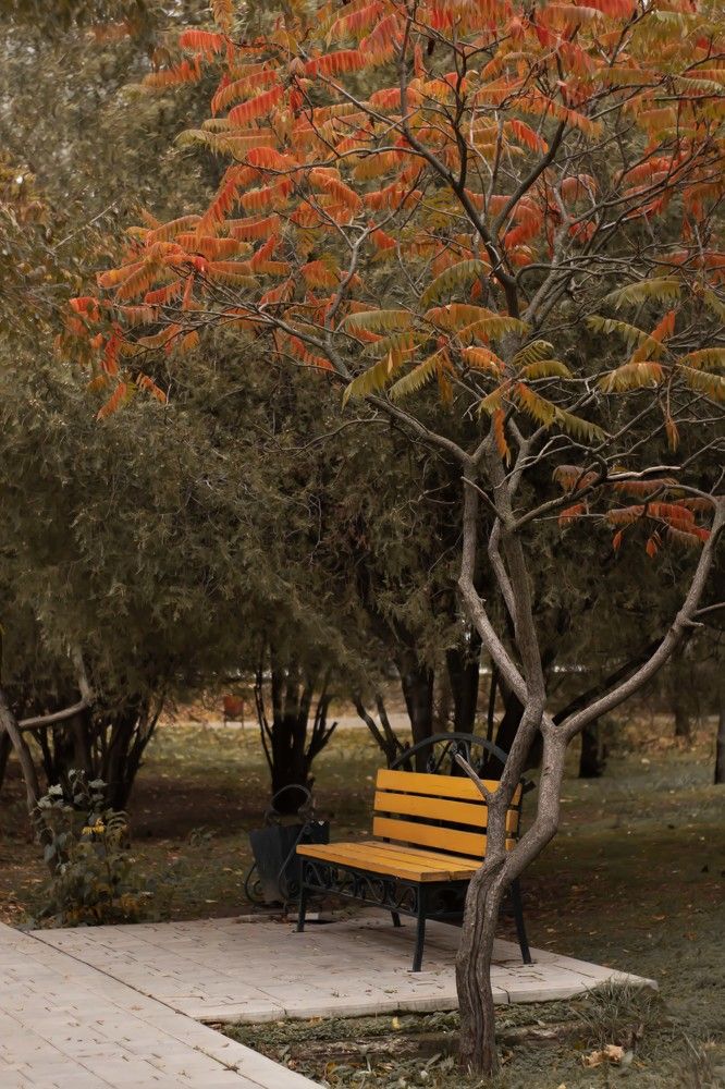 Photograph by Анастасия Терещенко