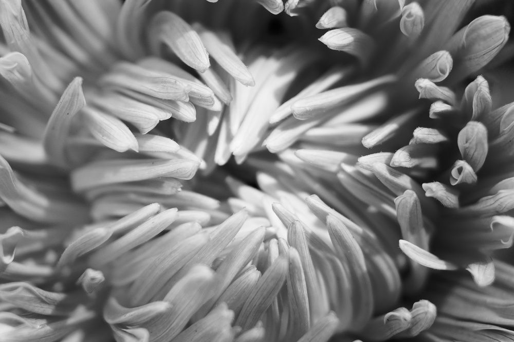 Photograph by Маргарита