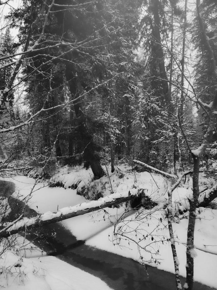 Photograph by Elena Kilina