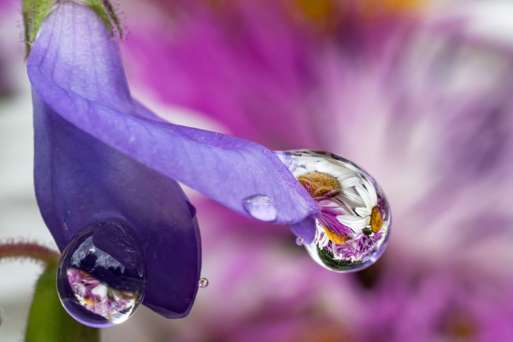 Photograph by Николай Фонарёв