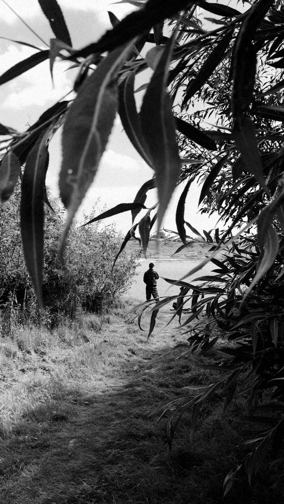 Photograph by Ирина Алпацкая