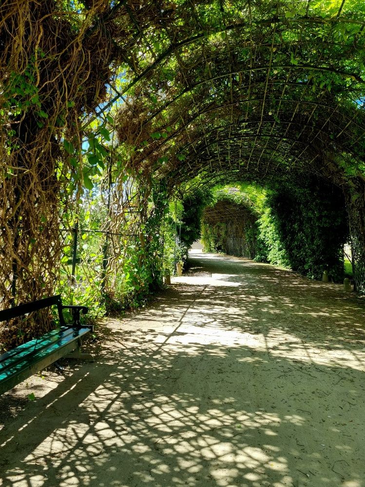 Photograph by Hanna Bourne