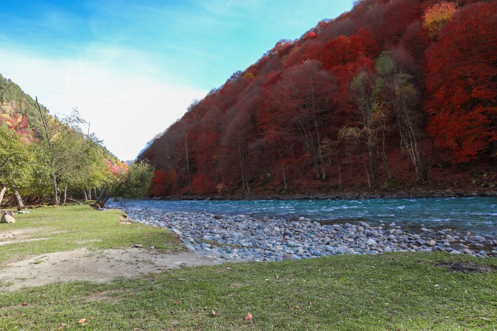 Photograph by Нина Полякова