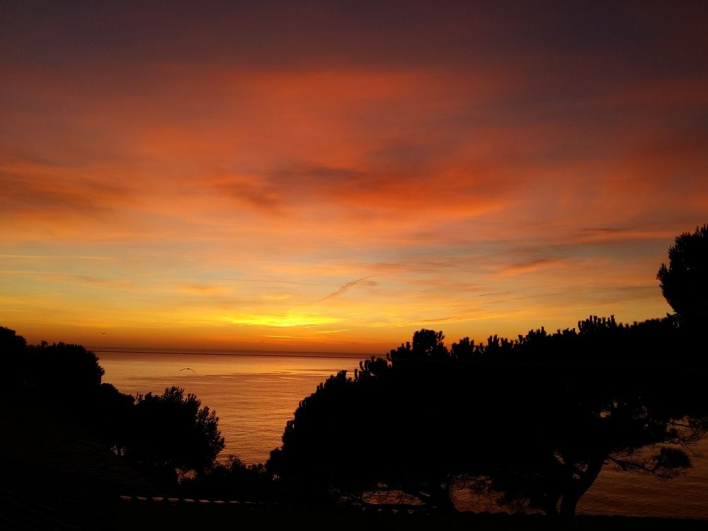 Photograph by Hanna Bourne