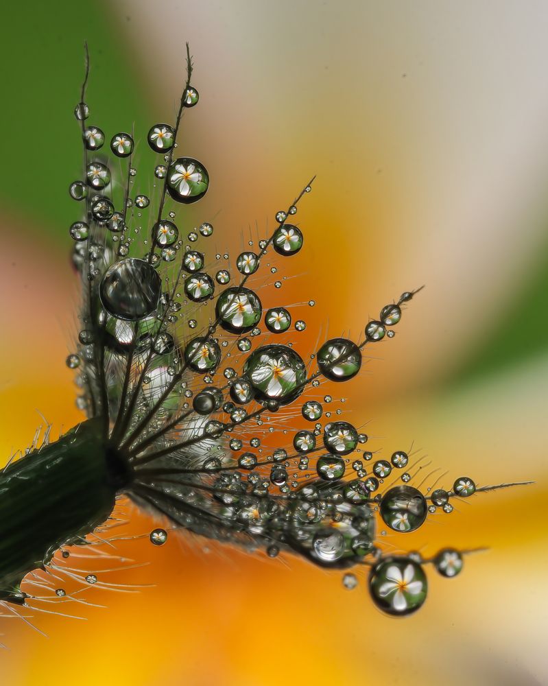 Photograph by Dhruvshilpi Shilpi