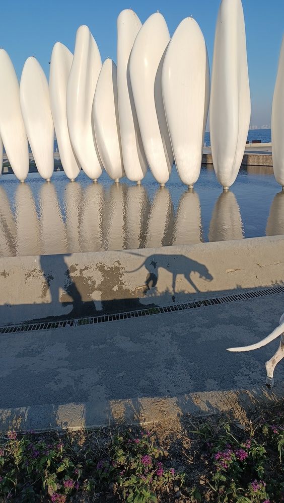 Photograph by Ирина Эрон