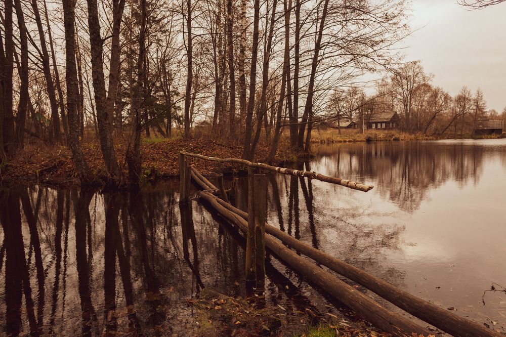 Photograph by София Богаткина