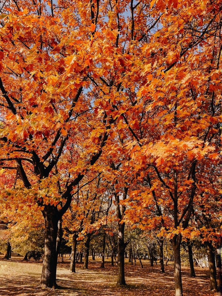 Фотография автора Oxana Yurasova