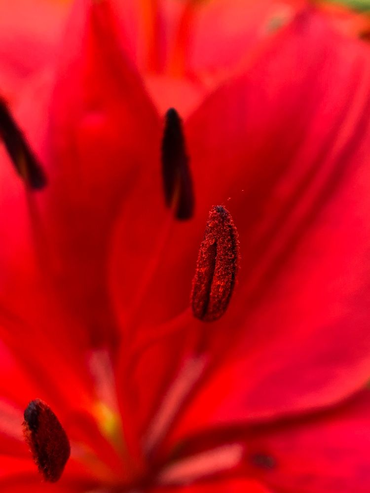 Photograph by Дмитрий Костяков