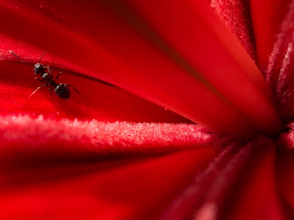 Photograph by Дмитрий Костяков