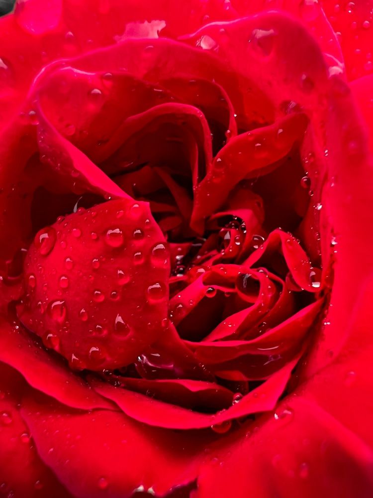 Photograph by Дмитрий Костяков