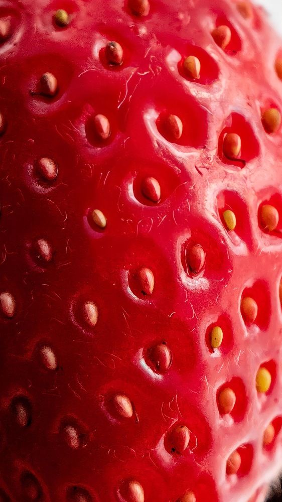 Photograph by Дмитрий Костяков